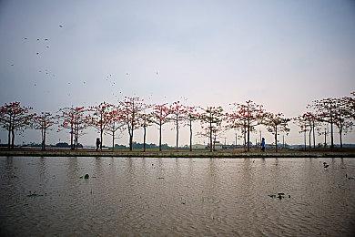 霍华德:《星空》部分灵感来自于《荒野大镖客2》沉浸式